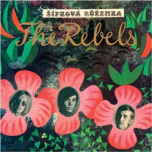CD ŘÍPKOVÁ RŮŽENKA