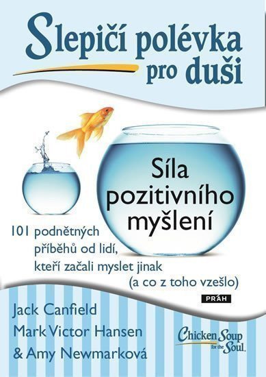 SLEPIČÍ POLÉVKA PRO DUŠI SÍLA POZITIVNÍHO MYŠLENÍ