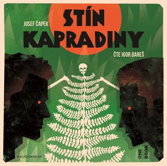 STÍN KAPRADINY CDMP3 (AUDIOKNIHA)