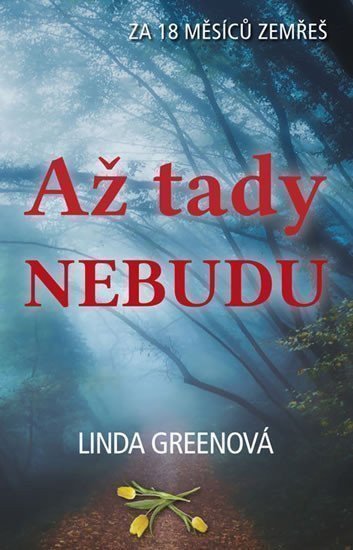Obálka knihy AŽ TADY NEBUDU od autora Greenová Linda
