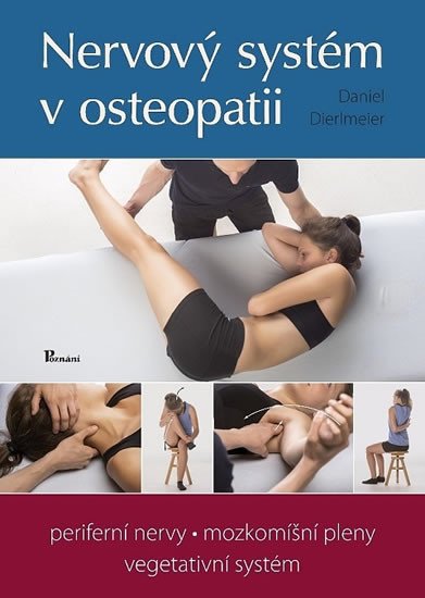 NERVOVÝ SYSTÉM V OSTEOPATII