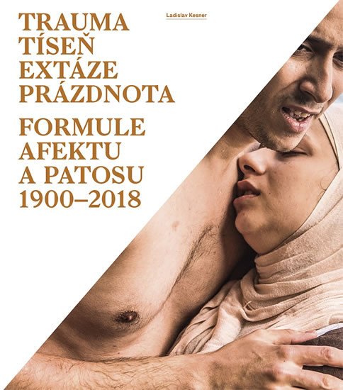 TRAUMA, TÍSEŇ, EXTÁZE, PRÁZDNOTA - FORMULE AFEKTU A PATOSU