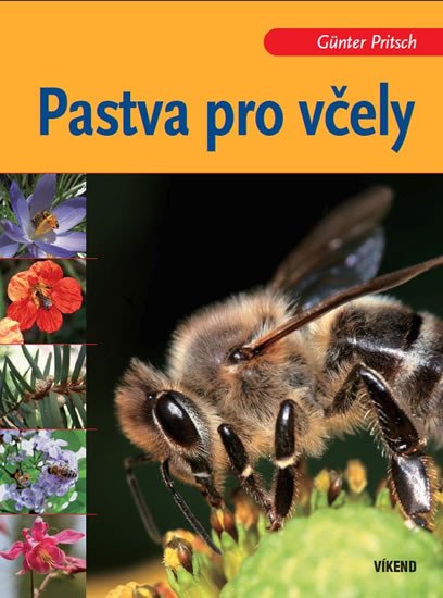 PASTVA PRO VČELY