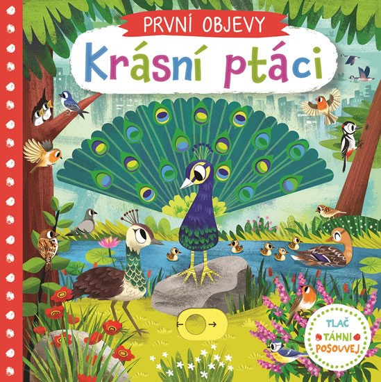 KRÁSNÍ PTÁCI - PRVNÍ OBJEVY