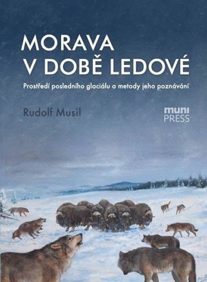 MORAVA V DOBĚ LEDOVÉ