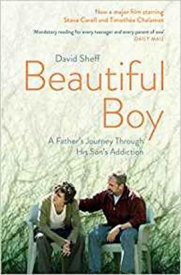 BEAUTIFUL BOY - A FATHER’S JOURNEY THROUGH HIS SON’S ADD.