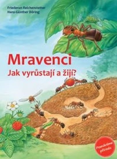 MRAVENCI