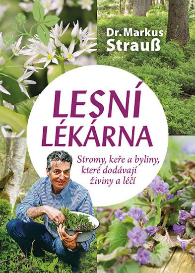 LESNÍ LÉKÁRNA  - STROMY, KEŘE A BYLINY, KTERÉ DODÁVAJÍ ŽIVIN