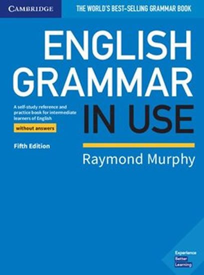 ENGLISH GRAMMAR IN USE 5TH EDITION WITHOUT ANSWERS