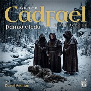 Obálka knihy PANNA V LEDU CD MP3 (AUDIOKNIHA) od autora Petersová Ellis