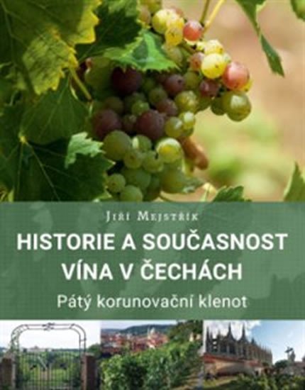 HISTORIE A SOUČASNOST VÍNA V ČECHÁCH