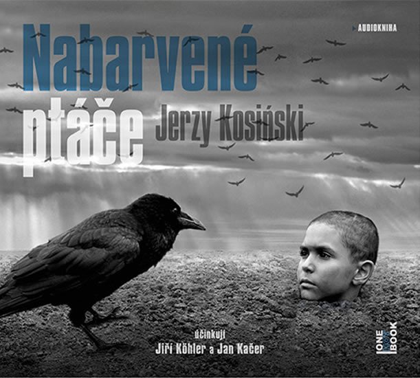 NABARVENÉ PTÁČE CDMP3 (AUDIOKNIHA)