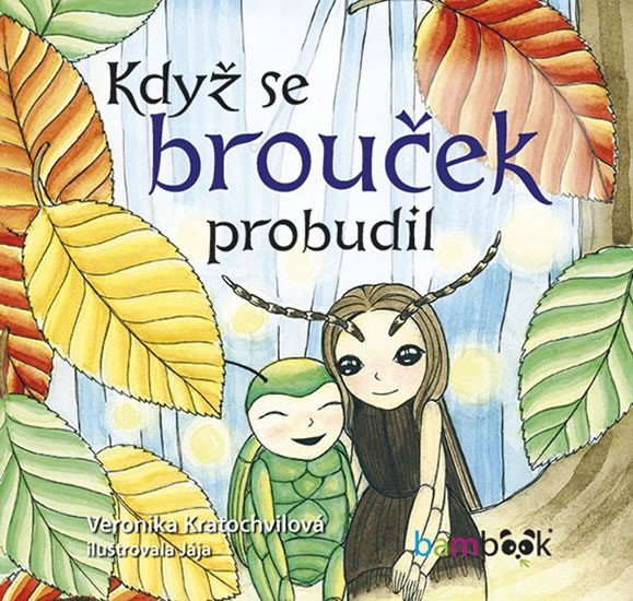 KDYŽ SE BROUČEK PROBUDIL