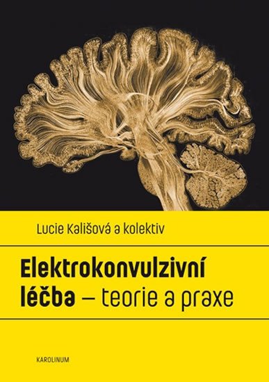 ELEKTROKONVULZIVNÍ LÉČBA