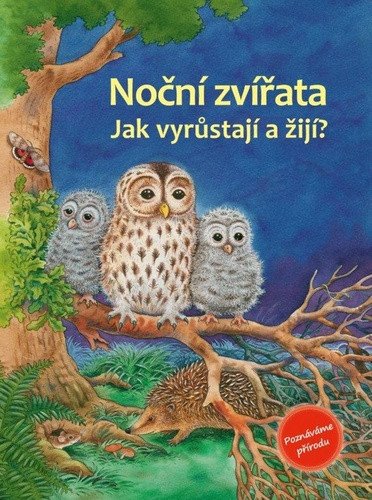 NOČNÍ ZVÍŘATA