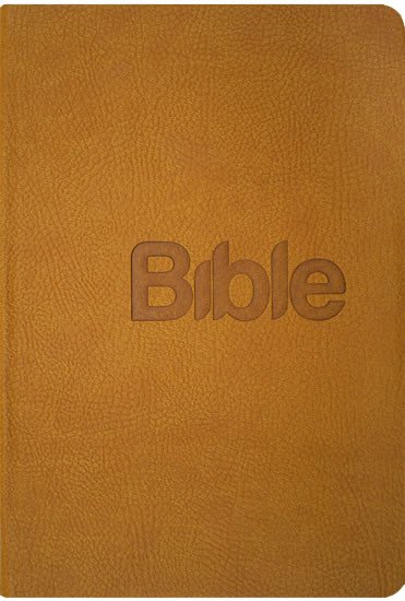 BIBLE, PŘEKLAD 21.STOLETÍ (GOLD KŮŽE)