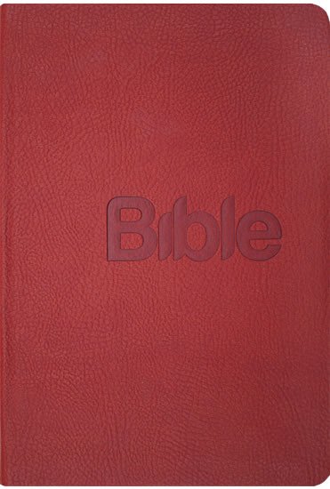 BIBLE, PŘEKLAD 21. STOLETÍ (CORAL KŮŽE)