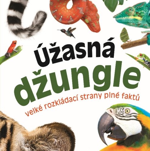 ÚŽASNÁ DŽUNGLE