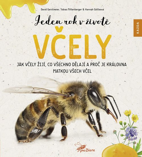 JEDEN ROK V ŽIVOTĚ VČELY