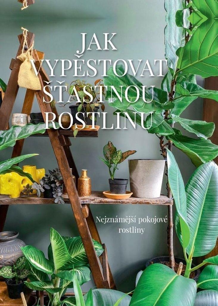 JAK VYPĚSTOVAT ŠŤASTNOU ROSTLINU
