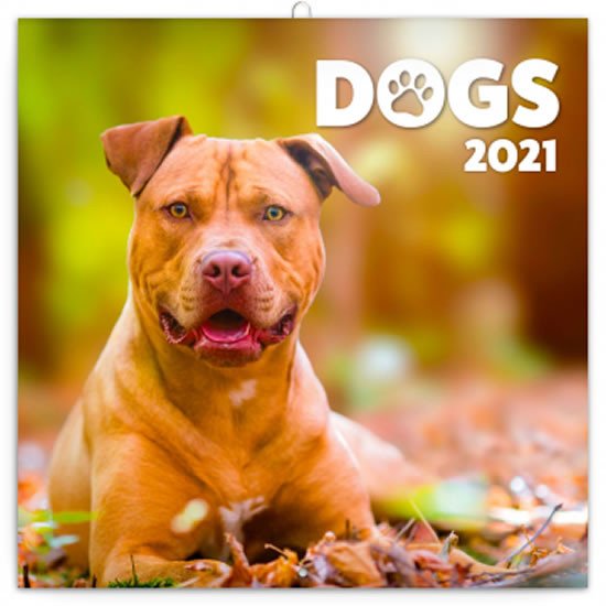 KALENDÁŘ DOGS PSI 2021