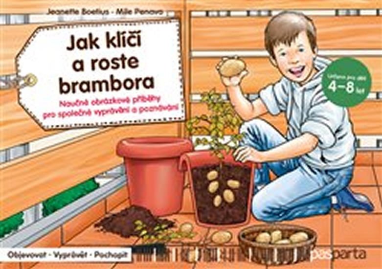 JAK KLÍČÍ A ROSTE BRAMBORA - 13 VELKÝCH OBRÁZKŮ