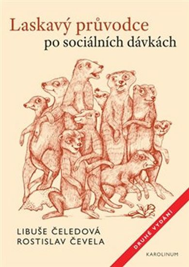 LASKAVÝ PRŮVODCE PO SOCIÁLNÍCH DÁVKÁCH