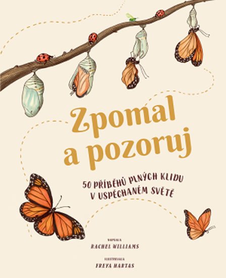 ZPOMAL A POZORUJ - 50 PŘÍBĚHŮ PLNÝCH KLIDU V USPĚCHANÉM SVĚT