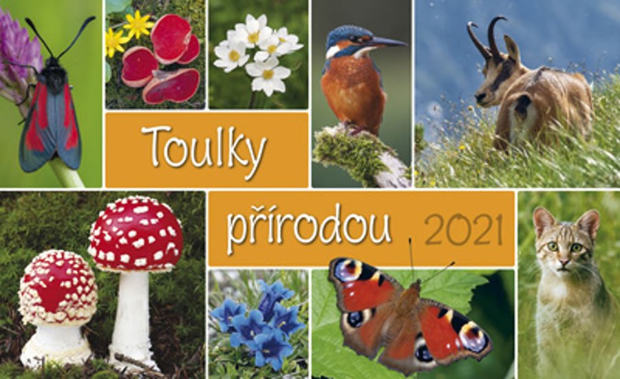 KALENDÁŘ TOULKY PŘÍRODOU 2021 STOLNÍ