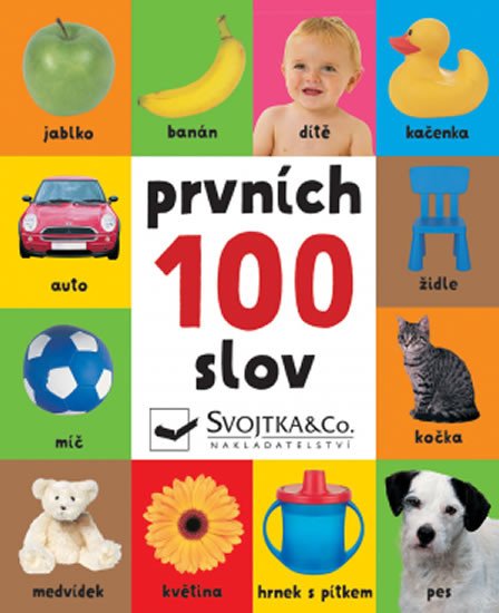 PRVNÍCH 100 SLOV