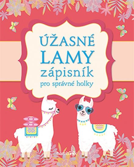 ÚŽASNÉ LAMY ZÁPISNÍK PRO SPRÁVNÉ HOLKY