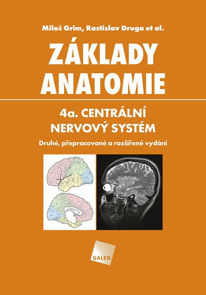 ZÁKLADY ANATOMIE 4A.