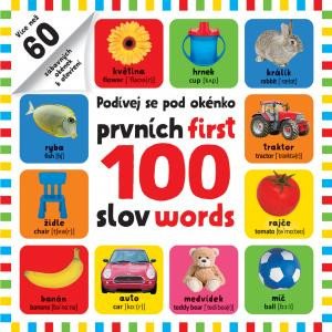 PRVNÍCH 100 SLOV / FIRST 100 WORDS - PODÍVEJ SE POD OKÉNKO