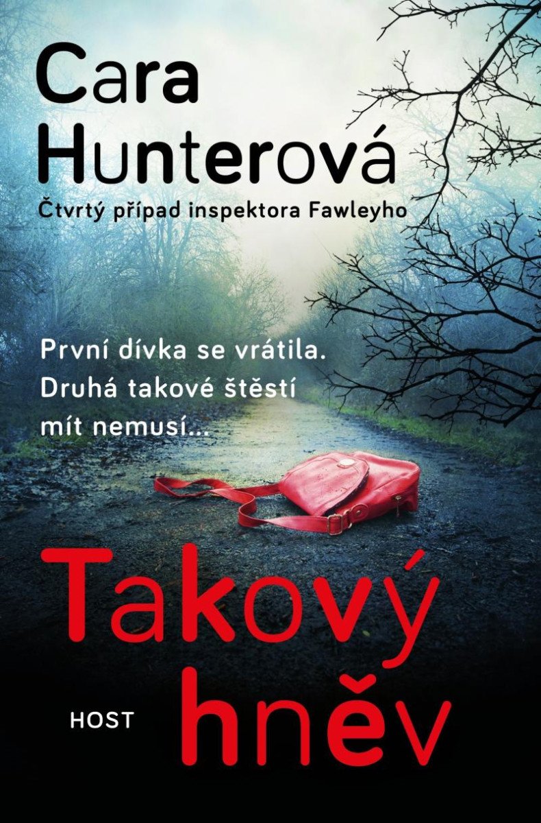 TAKOVÝ HNĚV (INSPEKTOR ADAM FAWLEY 4)