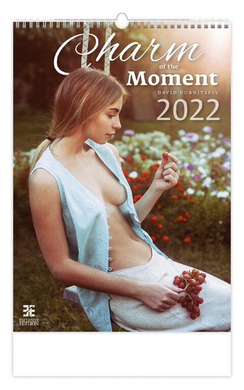 NÁSTĚNNÝ KALENDÁŘ 2022 CHARM OF THE MOMENT