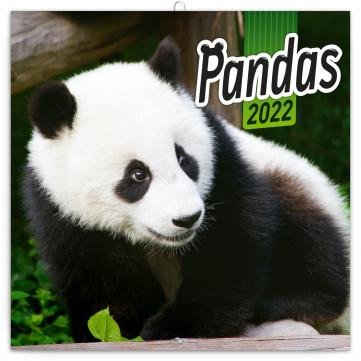 POZNÁMKOVÝ KALENDÁŘ PANDY 2022, 30