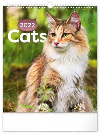 KALENDÁŘ CATS 2022