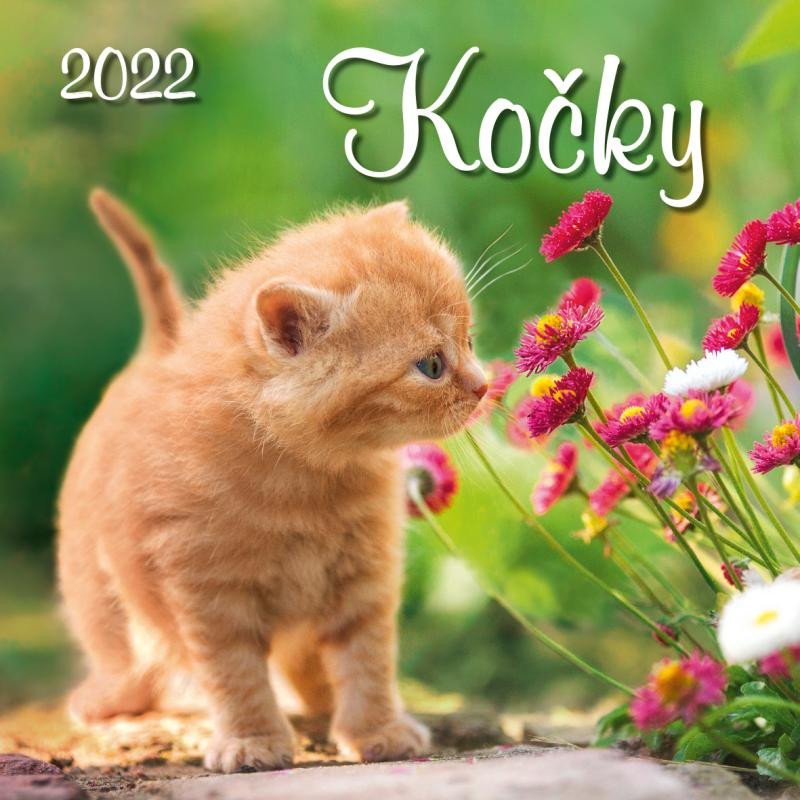 NÁSTĚNNÝ KALENDÁŘ 2022 KOČKY