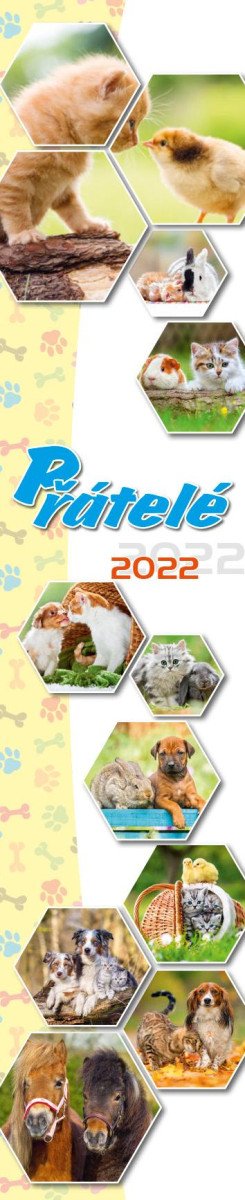 KALENDÁŘ PŘÁTELÉ 2022 KRAVATA