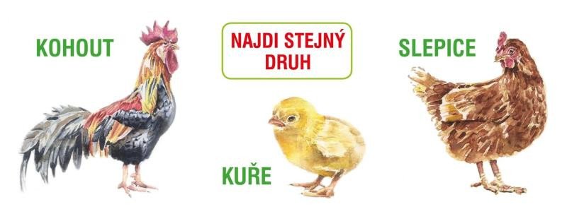 NAJDI STEJNÝ DRUH