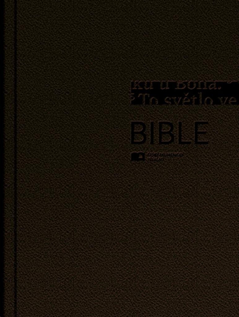 Obálka knihy BIBLE (KATOLICKÁ, VĚTŠÍ) od autora <br>