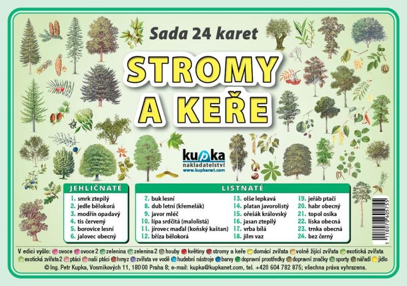 STROMY A KEE SADA 24 KARET