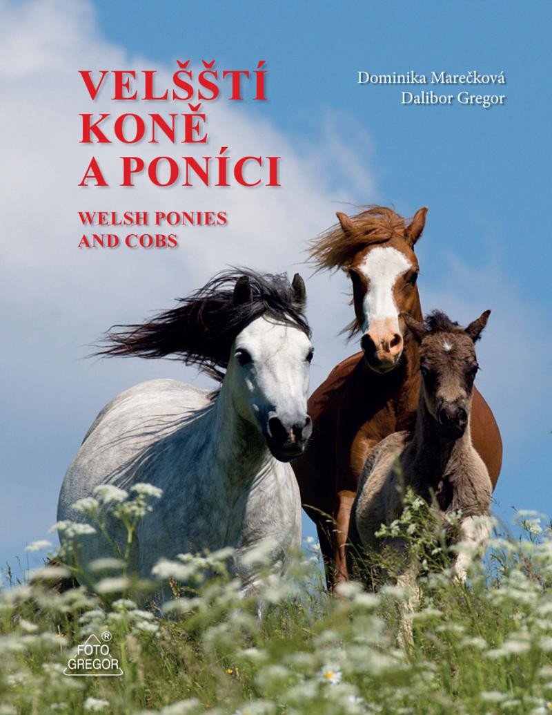 VELŠŠTÍ KONĚ A PONÍCI  [WELSH PONIES AND COBS]