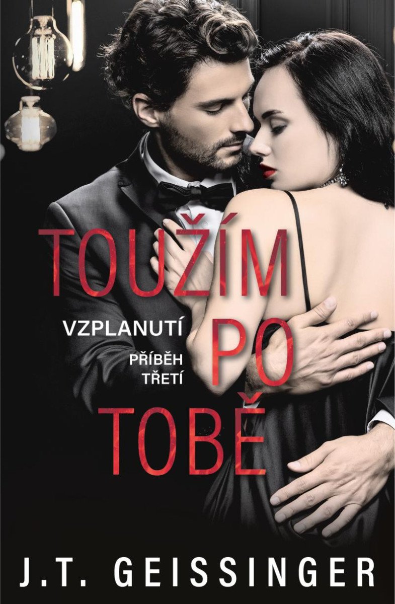 TOUŽÍM PO TOBĚ [VZPLANUTÍ 3]