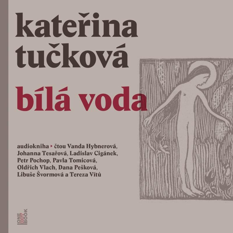 BÍLÁ VODA CD MP3 (AUDIOKNIHA)