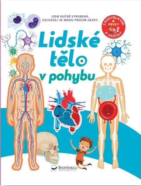 LIDSKÉ TĚLO V POHYBU