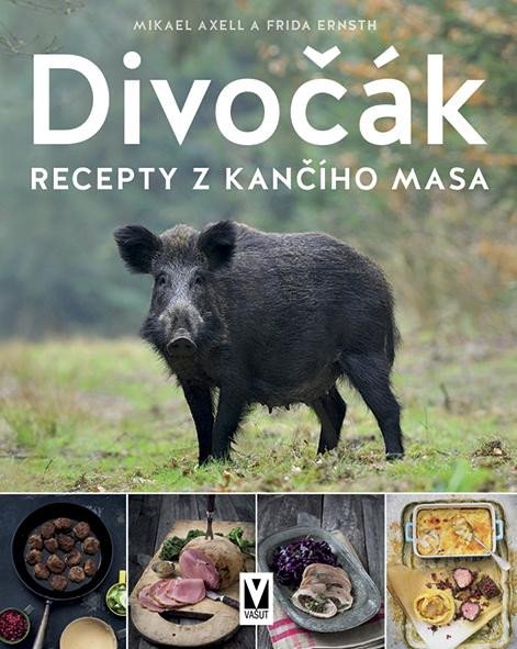 DIVOČÁK RECEPTY Z KANČÍHO MASA