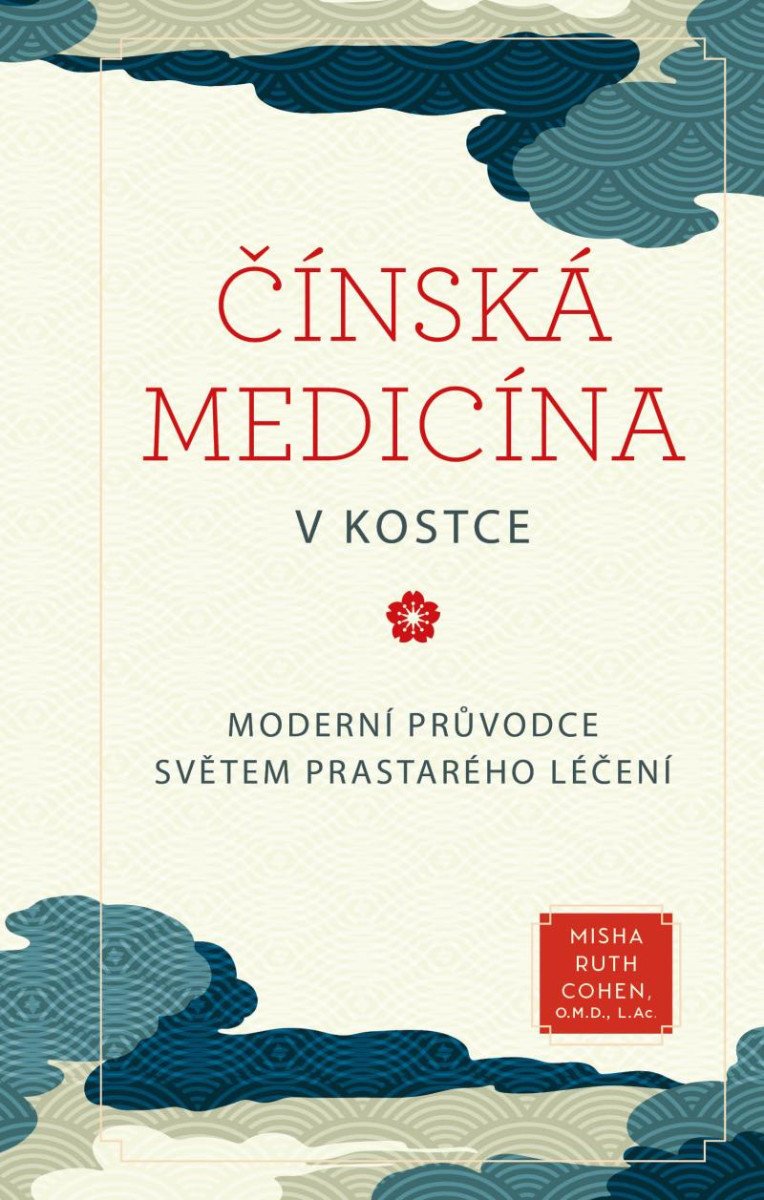 ČÍNSKÁ MEDICÍNA V KOSTCE