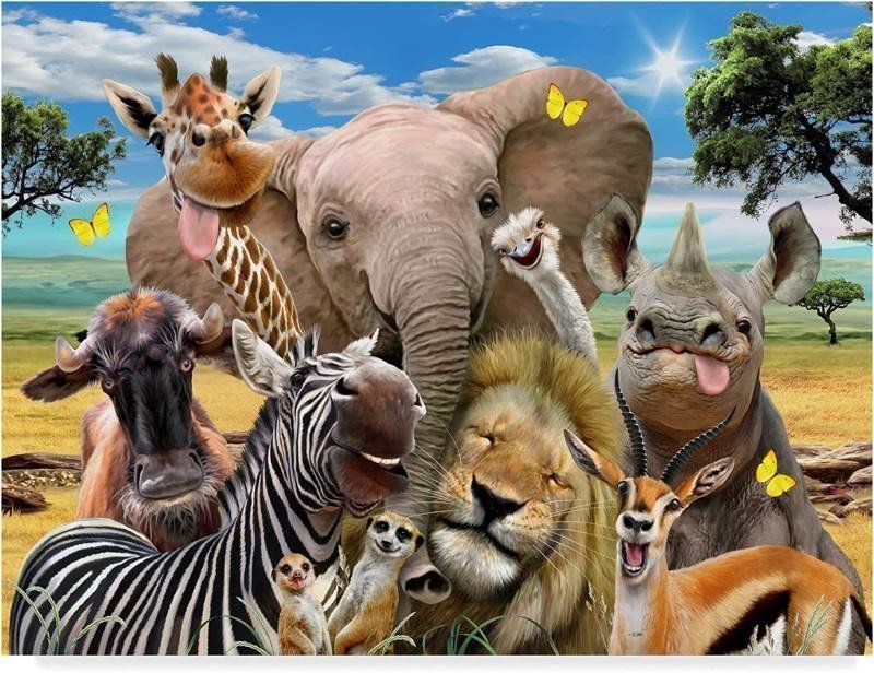 DIAMANTOVÉ MALOVÁNÍ SAFARI SELFIE