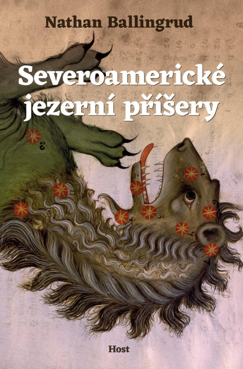 SEVEROAMERICKÉ JEZERNÍ PŘÍŠERY